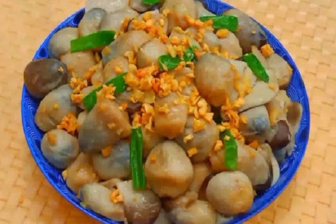 Nấm chay