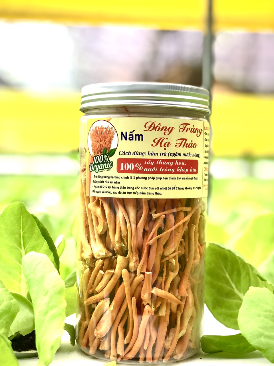 Đông Trùng Hạ Thảo Sấy Thăng Hoa - Loại Thượng Hạng 50Gr