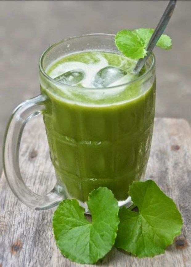Rau má sữa đậu xanh