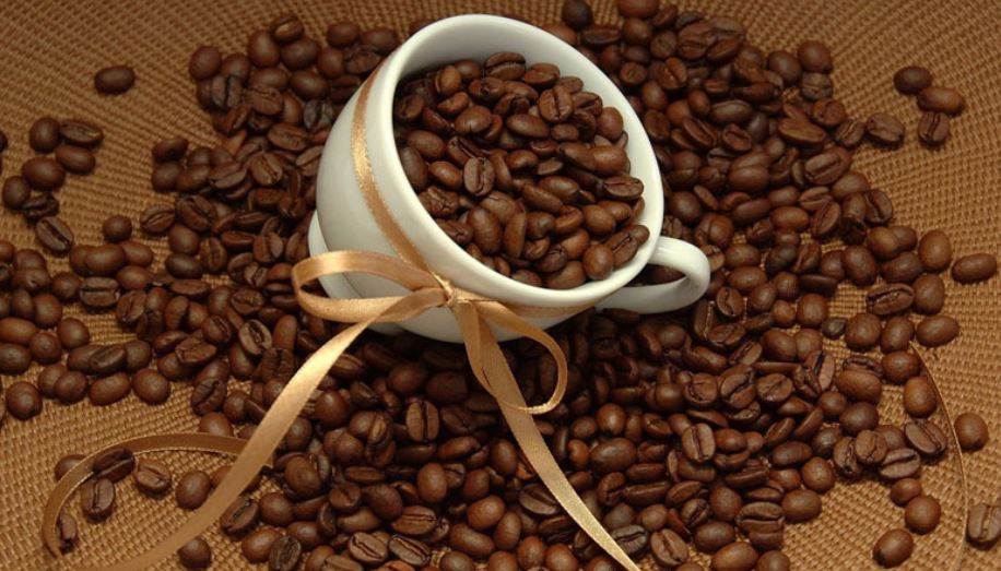 Cung cấp hạt cafe cho dòng cafe pha máy, Loại 1 gu thơm  : giá bán 170 000 đ / 1 kg (  cafe  hạt)     Loại 2 gu mạnh  : giá bán 160000 đ / kg (  cafe hạt )