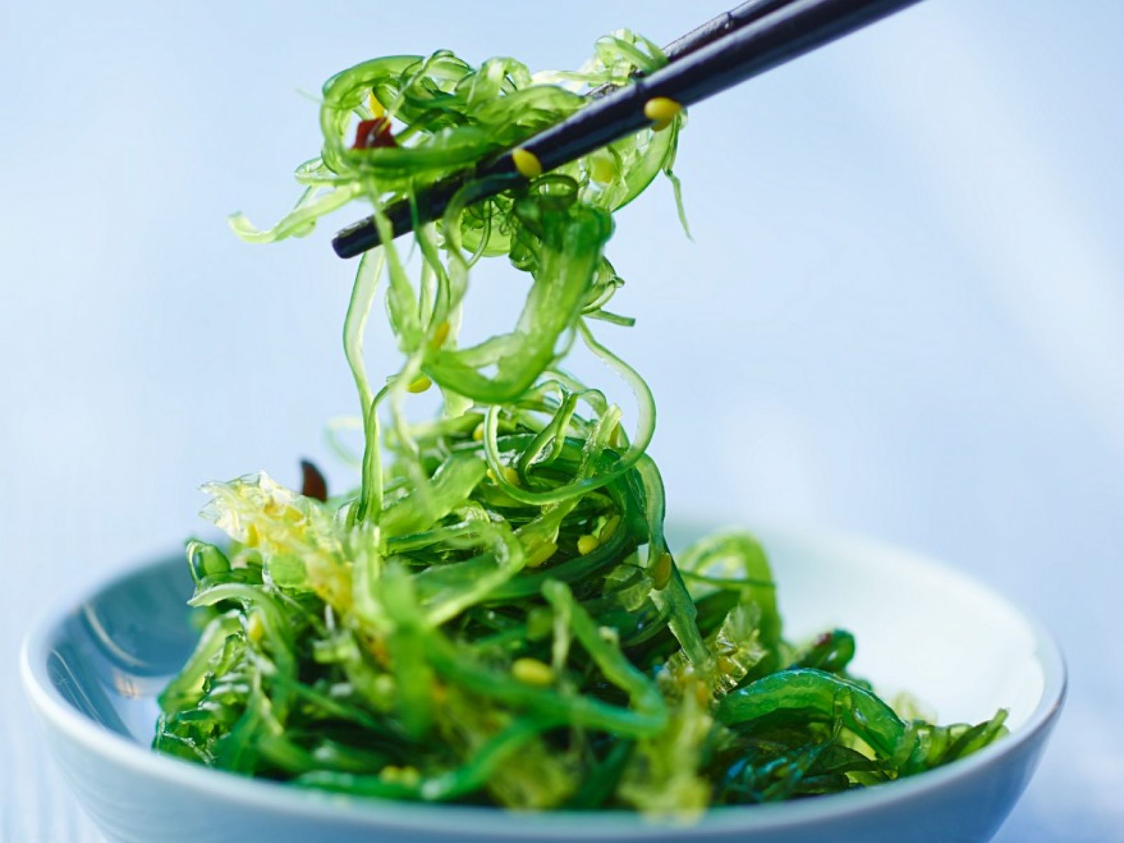 salad rong biển