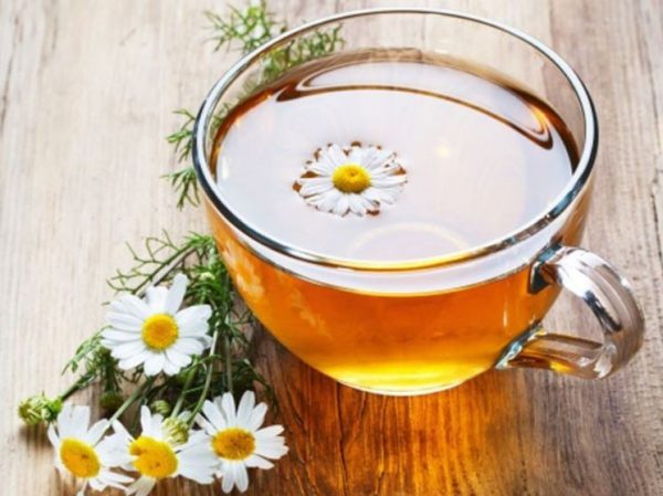Kombucha