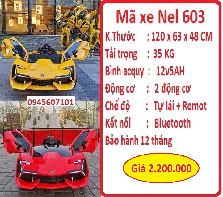 Ne 603