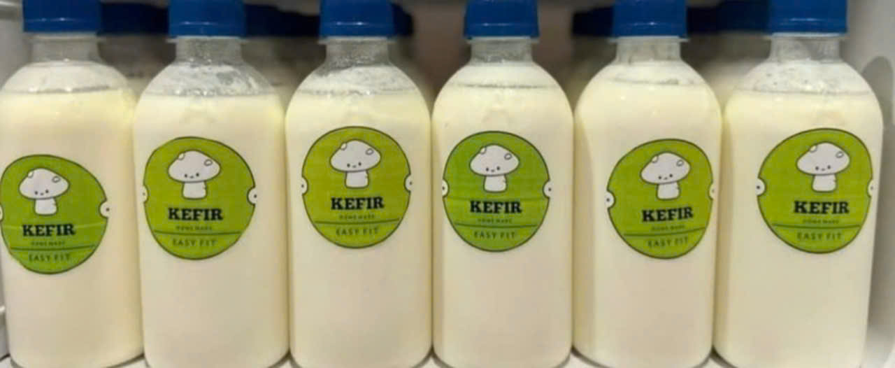 sữa chua Nấm Tây Tạng Kefir