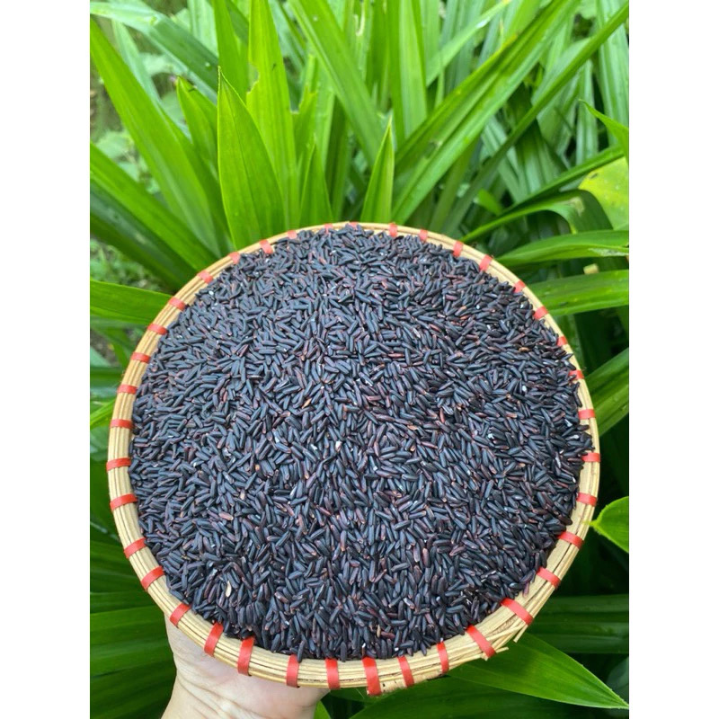 1 kg Gạo lứt tím 