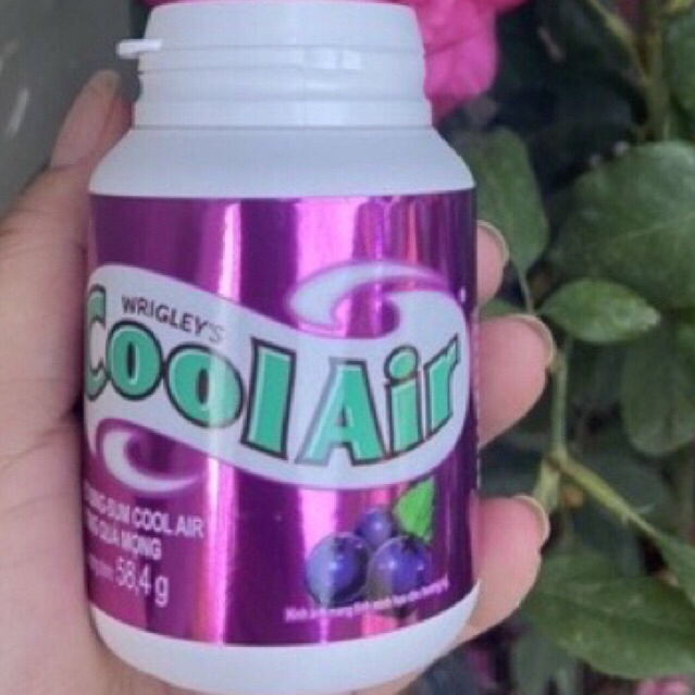 COOL AIR HỦ QUẢ MỌNG