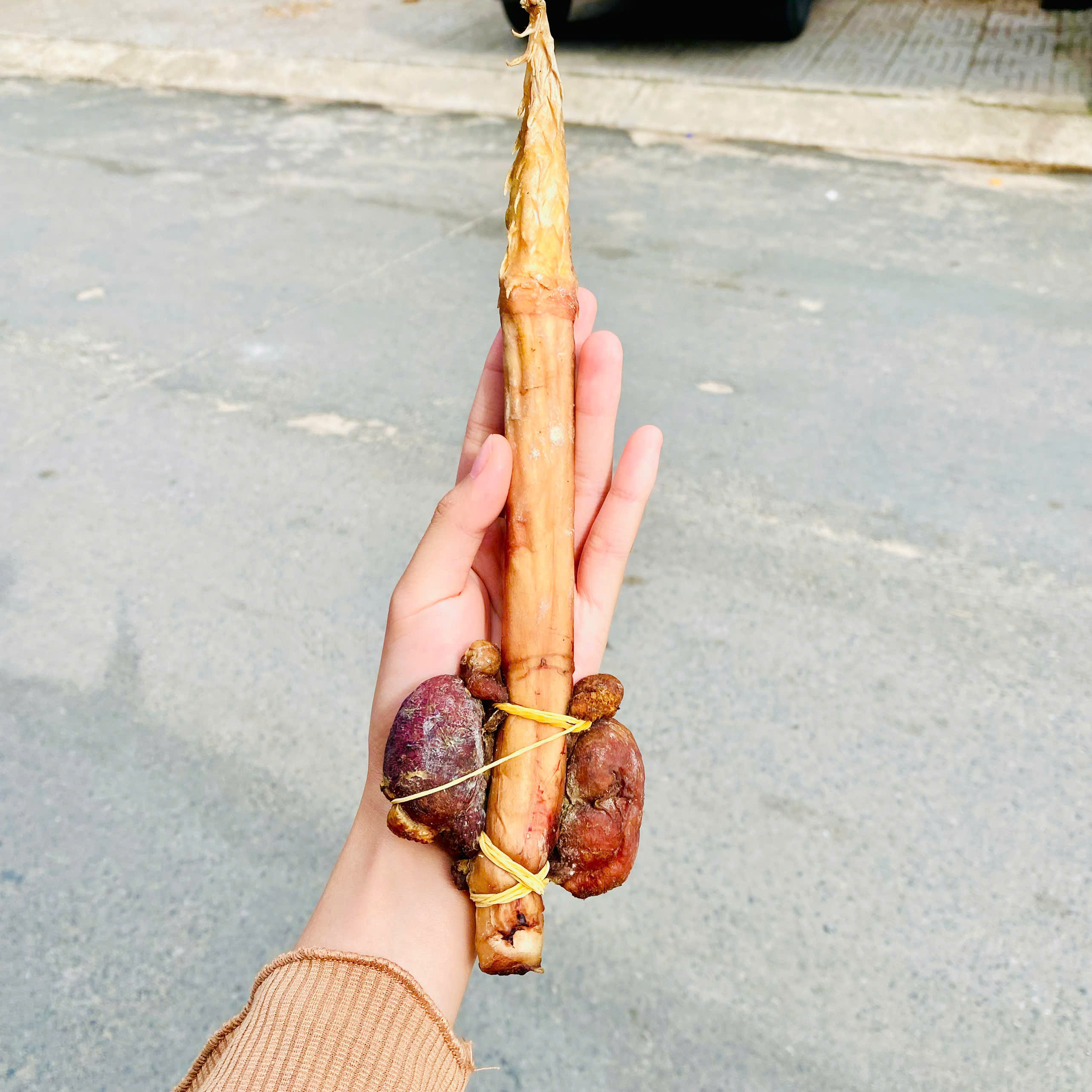 PÍN HẢI CẨU NHỎ