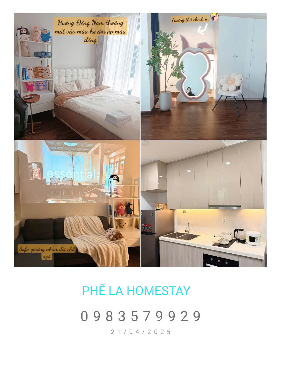 HOMESTAY - FRIEND