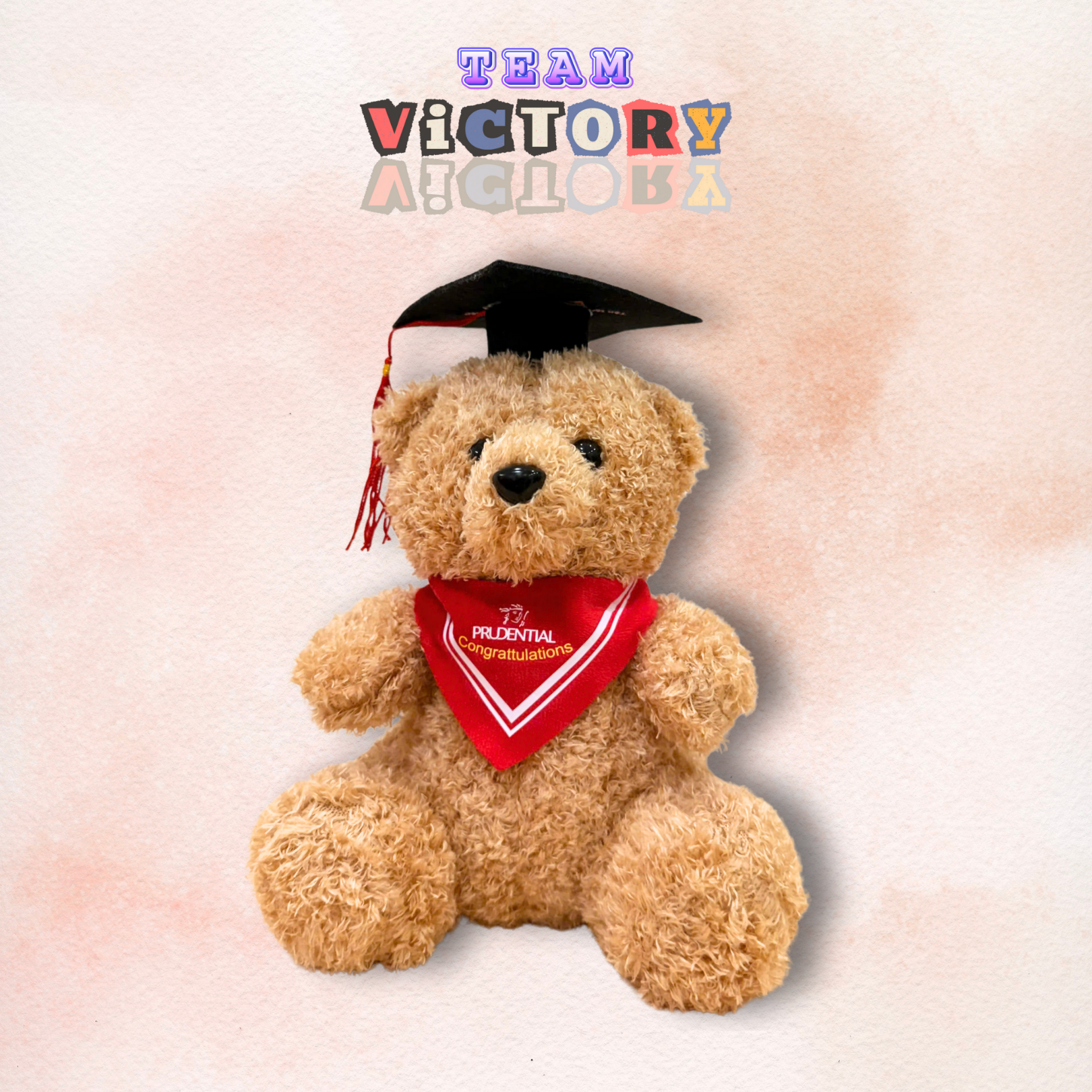 Chú Gấu Teddy 20cm